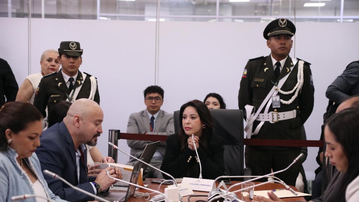 La presidenta de Fiscalización Pamela Aguirre habló sobre el juicio a Guarderas.