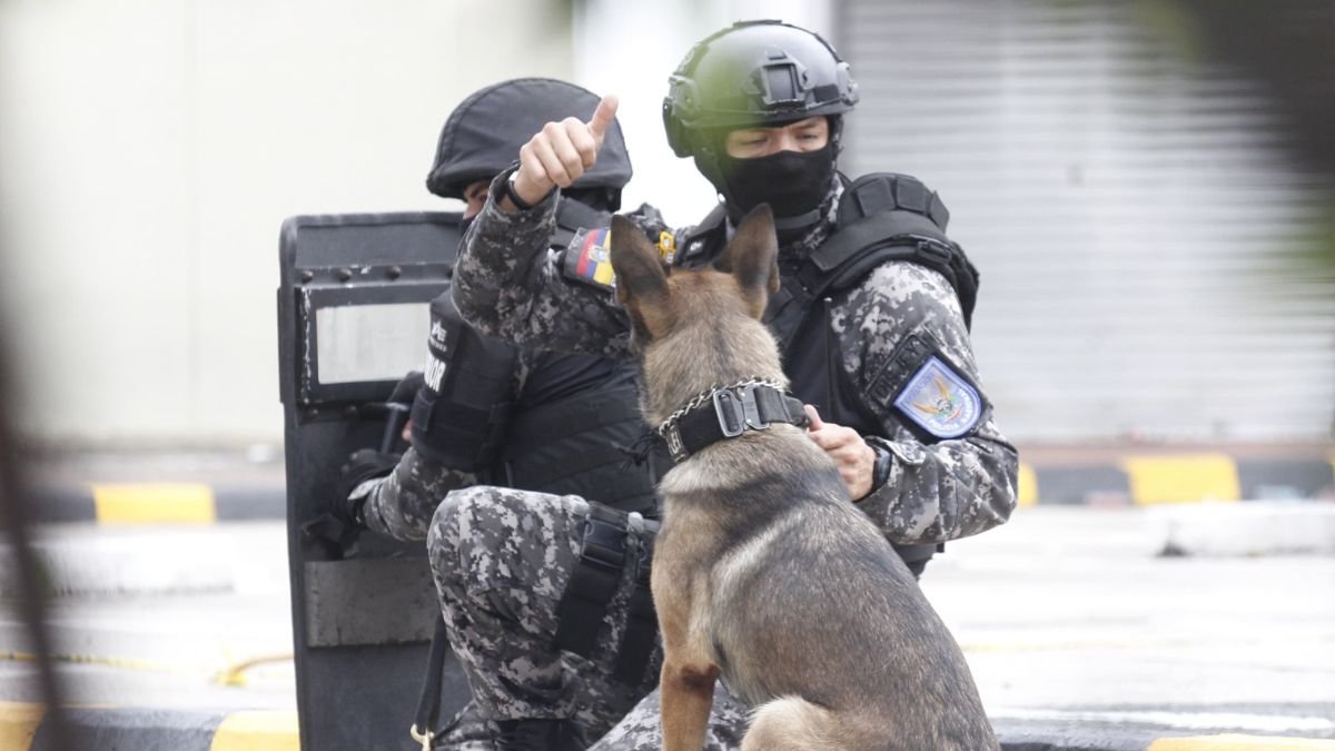 La Policía Nacional junto a un can entrenado en la detección de explosivos antes de inspeccionar que contenían los paquetes.