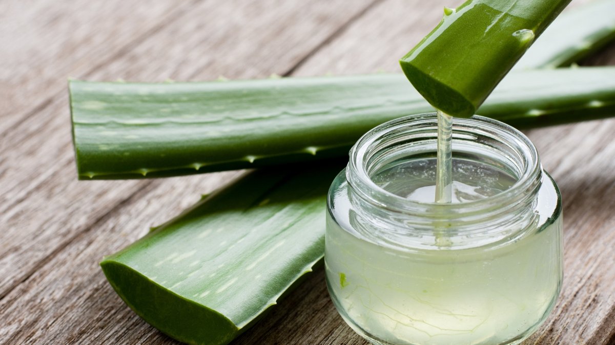 Descubre el poder del aloe vera para tu bienestar digestivo.