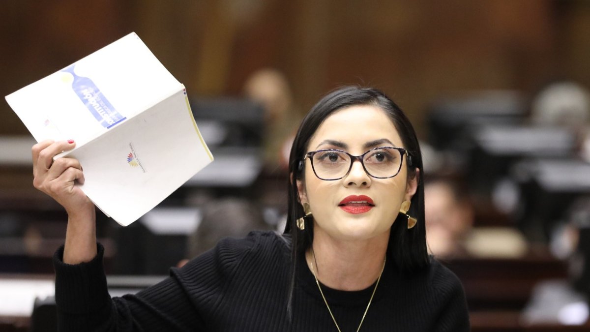 Viviana Veloz anunció que la demanda se presentará la próxima semana.