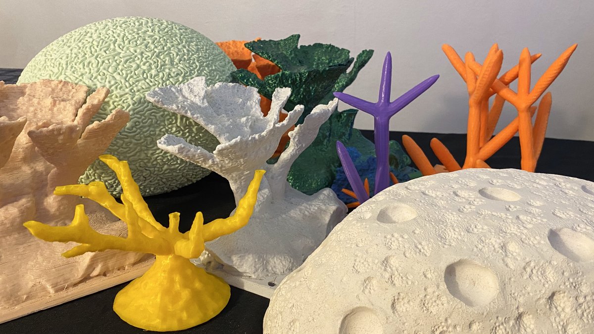 Fotografía del 21 de noviembre de 2024 de unos corales creados con Ácido poliláctico (PLA, en inglés)  en la sede de la Sociedad en San Juan (Puerto Rico).