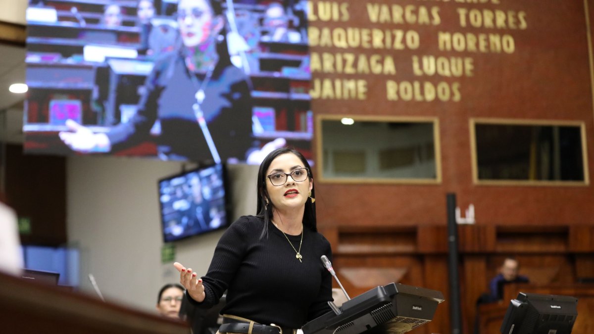 Presidenta. Viviana Veloz confunde lo constitucional con lo electoral. Ella prefiere hablar de impuestos.