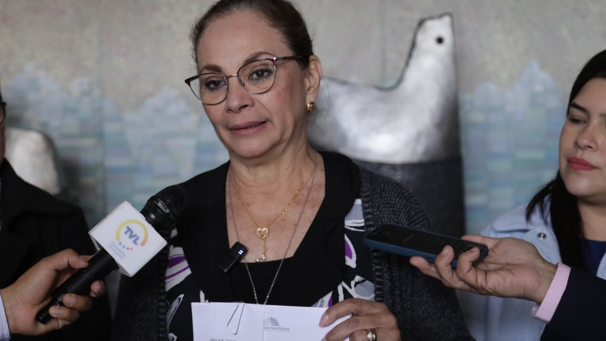 La asambleísta Pierina Correa presentó una denuncia por violencia política de género en contra de Blasco Luna, miembro de su bancada correísta.