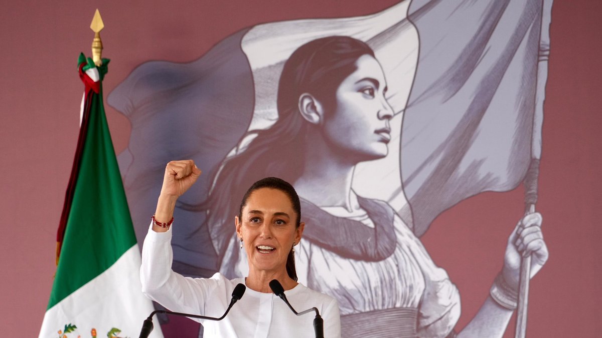 México. La captura del criminal fue celebrada por el gobierno de México, encabezado por Claudia Sheinbaum.