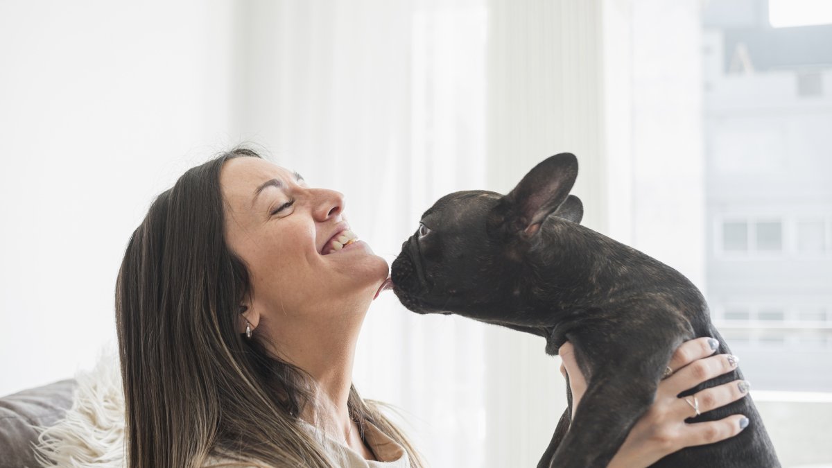 Lamer puede ser una forma de comunicación