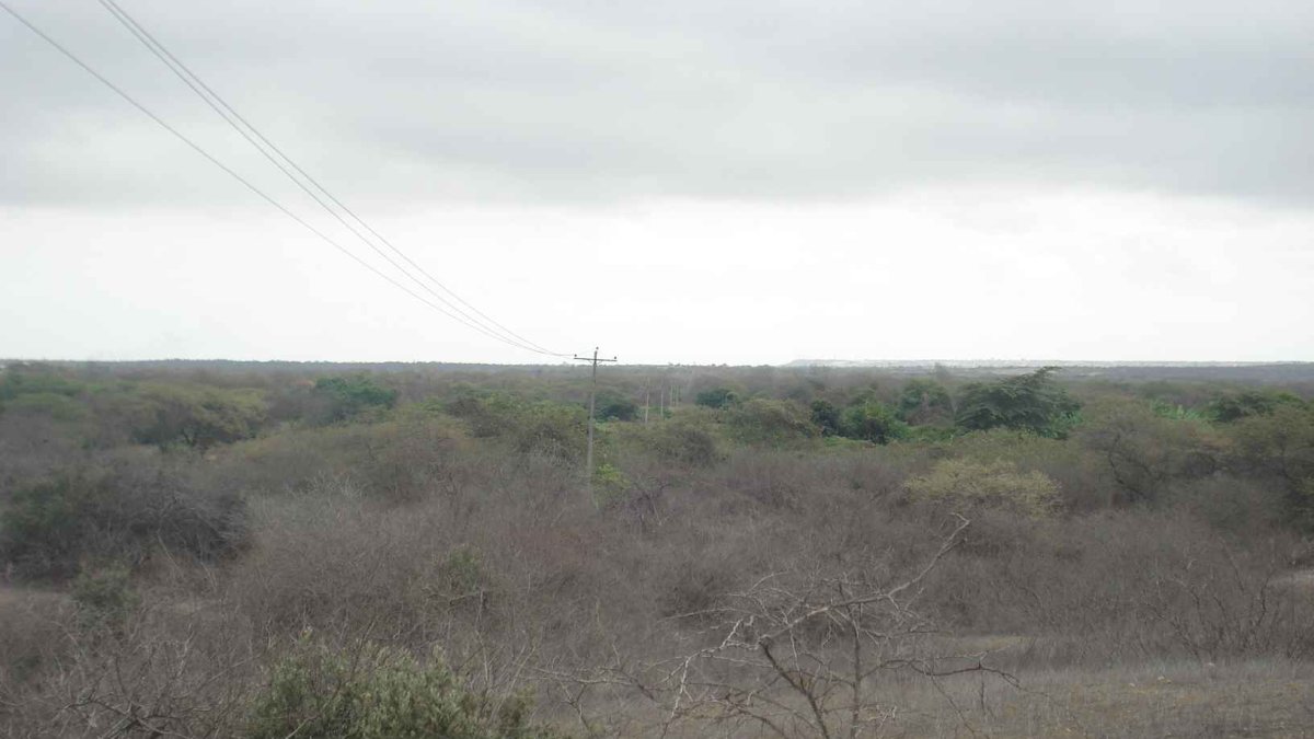 Imagen referencial para graficar una zona rural del cantón Salinas, en Santa Elena.