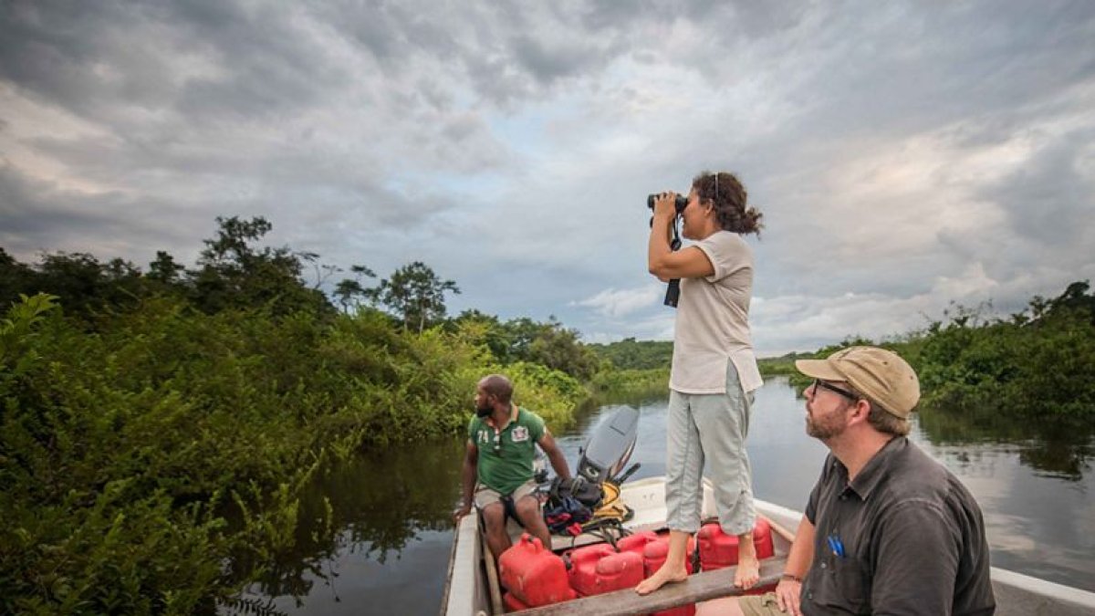 La organización ambiental más efectivas y de mayor alcance global
