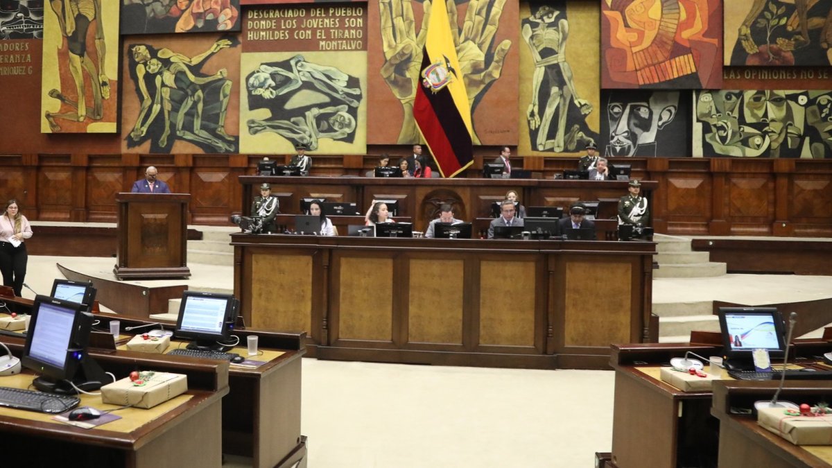 Cerca de 96 asambleístas buscarán la reelección en 2025.