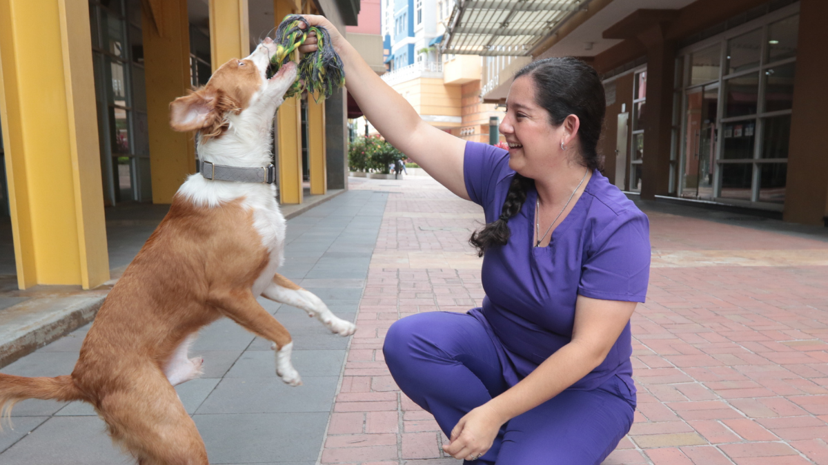 Eliana Molineros deja la Dirección de Bienestar Animal.