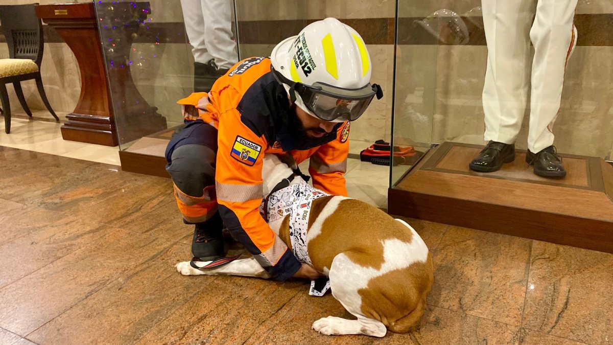 Los bomberos demostraron técnicas para apaciguar a los amigos de cuatro patas.