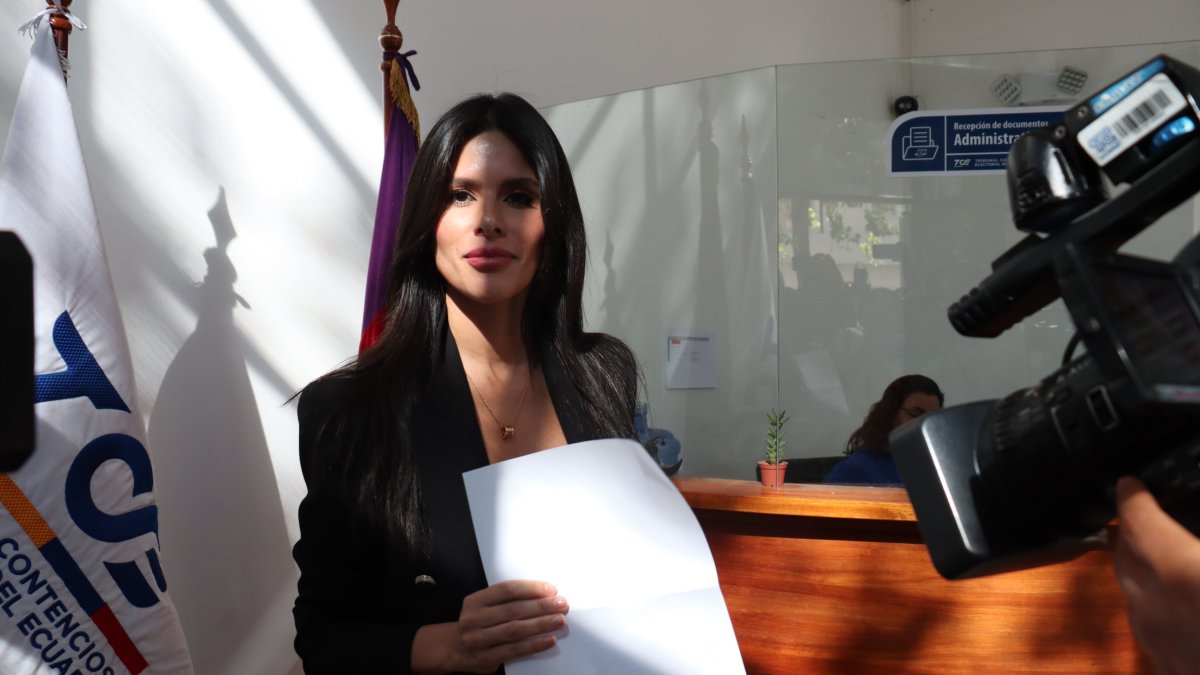 La exasesora presidencial, Diana Jácome, presentó la denuncia ante el TCE.