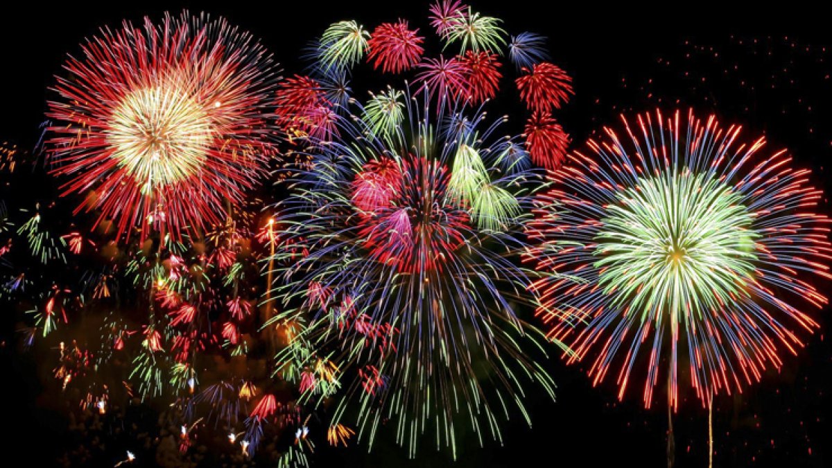 El proyecto de ordenanza para regular y limitar el uso de la pirotecnia sonora.