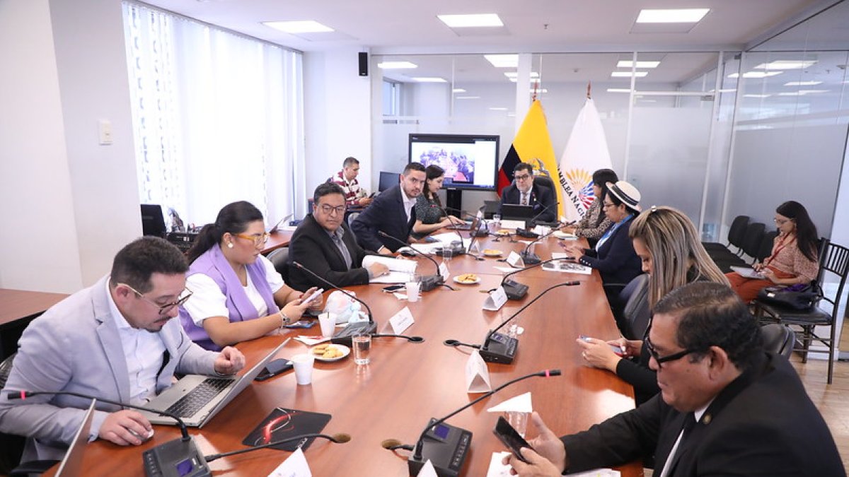 La Comisión de Participación Ciudadana aprobó iniciar dos procesos de fiscalización