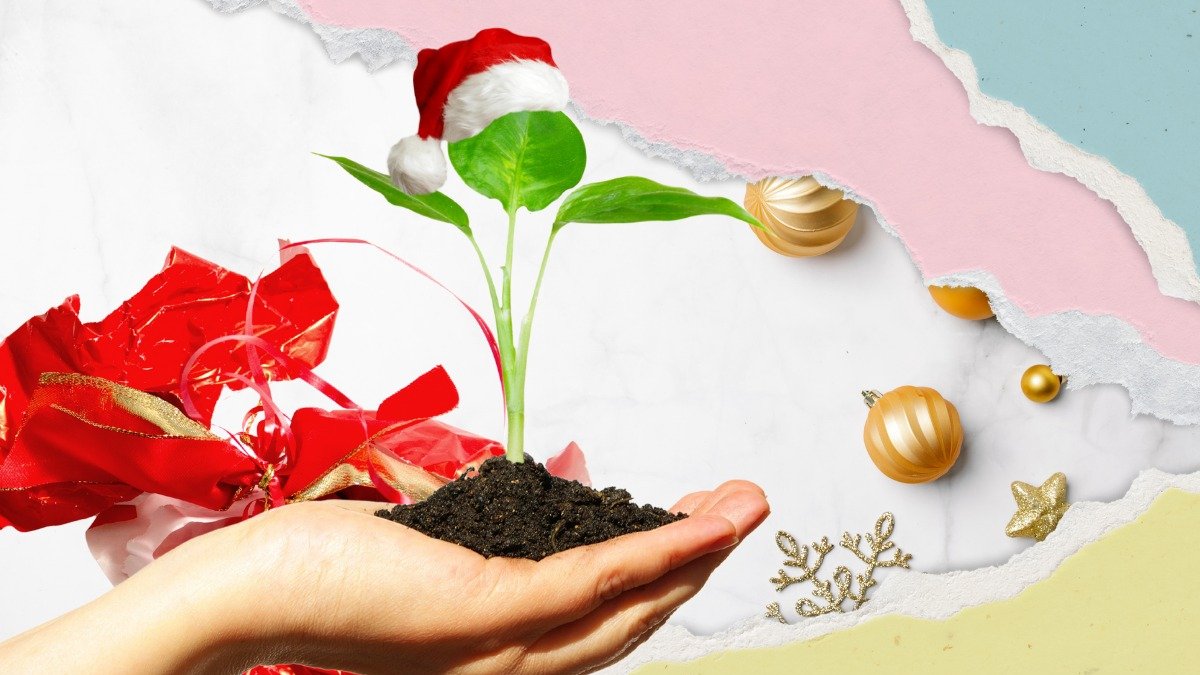 El 89 % de los residuos del país es aprovechable, pero solo el 4 % se recicla.