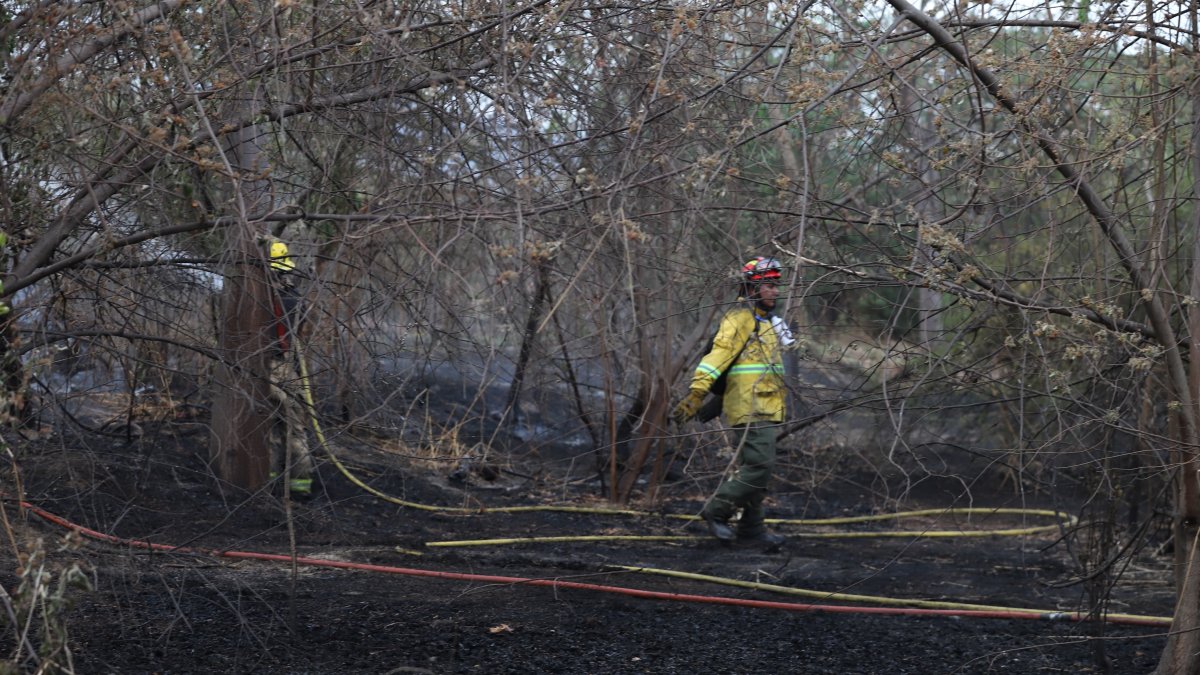 Un incendio forestal se registra junto a la autopista Narcisa de Jesús, en el norte de Guayaquil, la tarde de este jeuves 19 de diciembre.