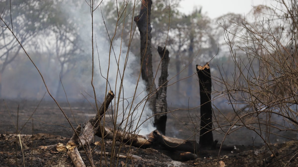La emergencia en la Narcisa de Jesús logró ser controlada.