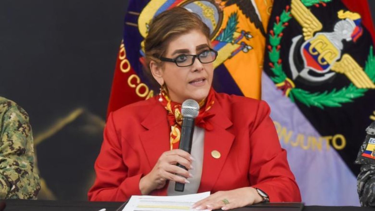 La ministra del Interior hizo público el expediente judicial de alias Comandante Vicente.
