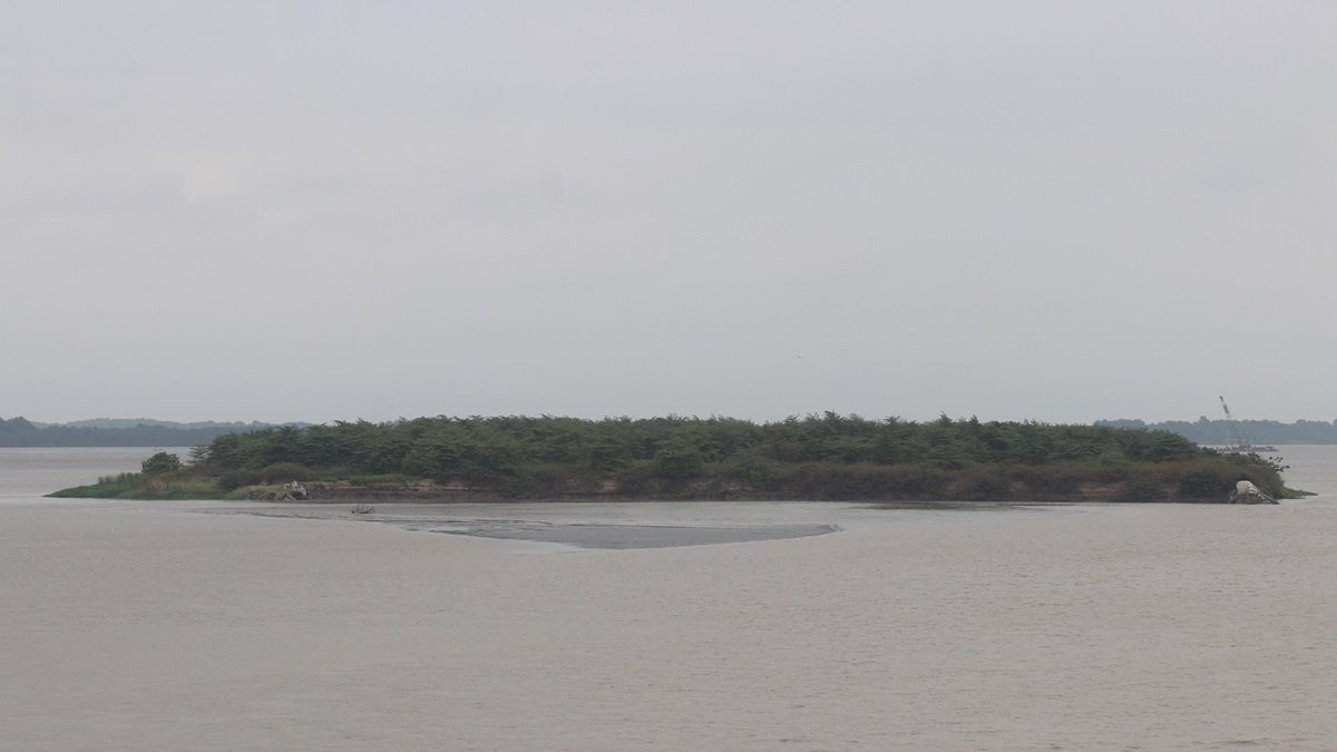 El islote Palmar es producto de la sedimentación en el río Guayas.