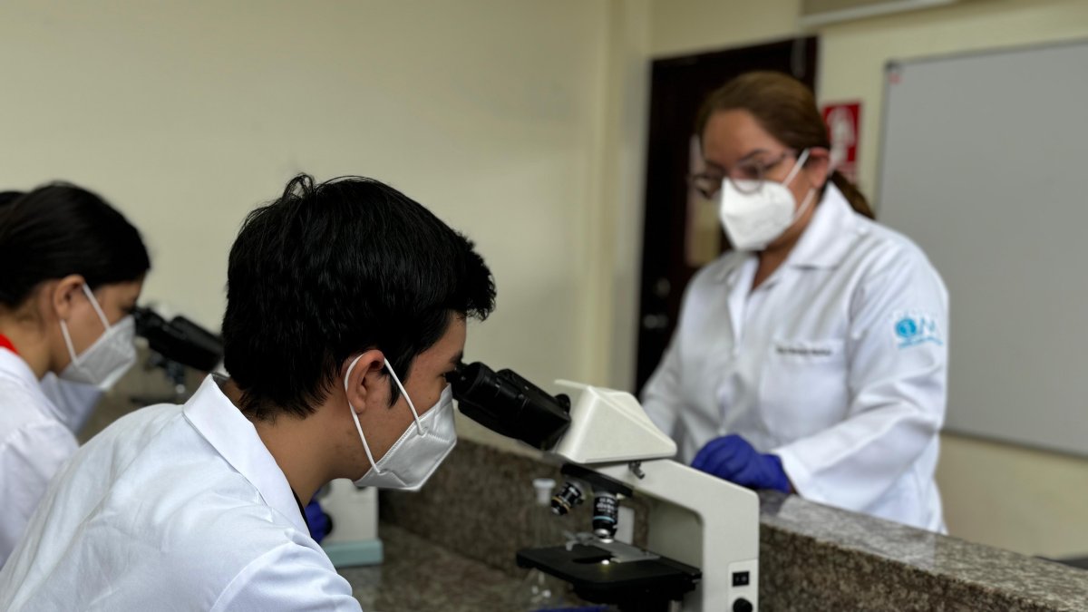 Cátedra. Estudiantes y docentes investigan en laboratorios universitarios el genoma materno y el de plantas.