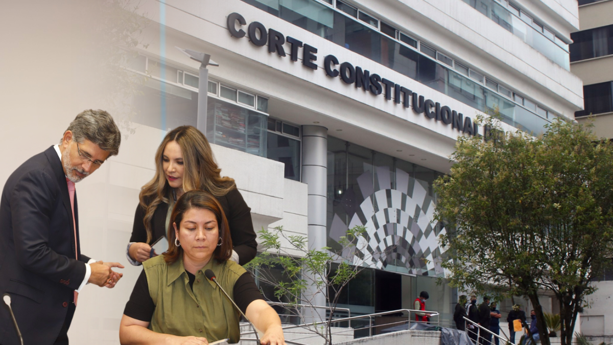 La Comisión Calificadora señala que nos postulantes a veedores no siguieron el procedimiento.