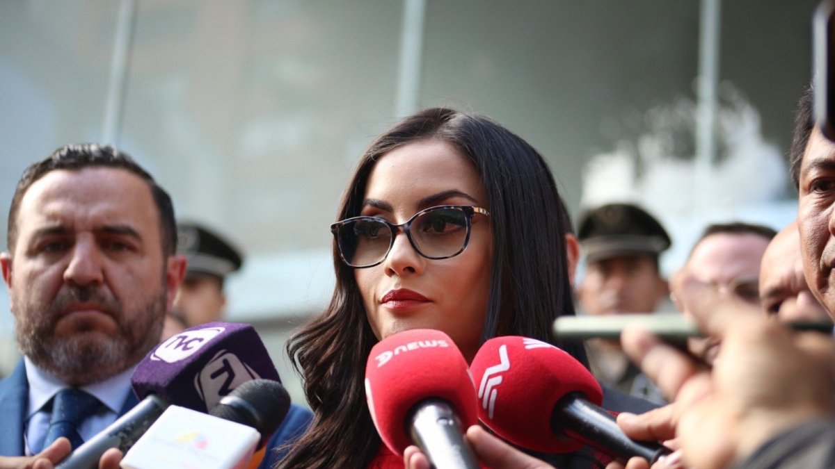 La iniciativa fue presentada ante la Corte Constitucional, por la presidenta de la Asamblea Nacional, Viviana Veloz