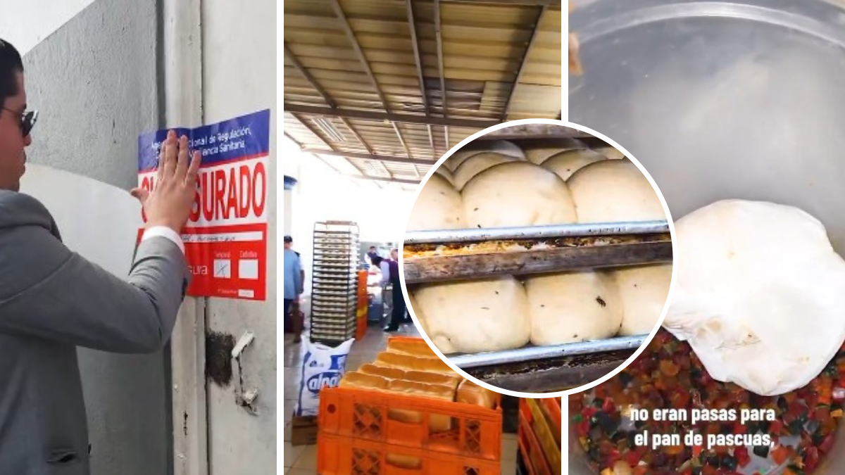 En los locales se encontraron plagas