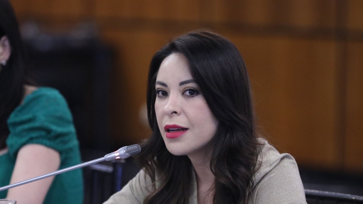 La correísta Pamela Aguirre dirige la Comisión de Fiscalización..