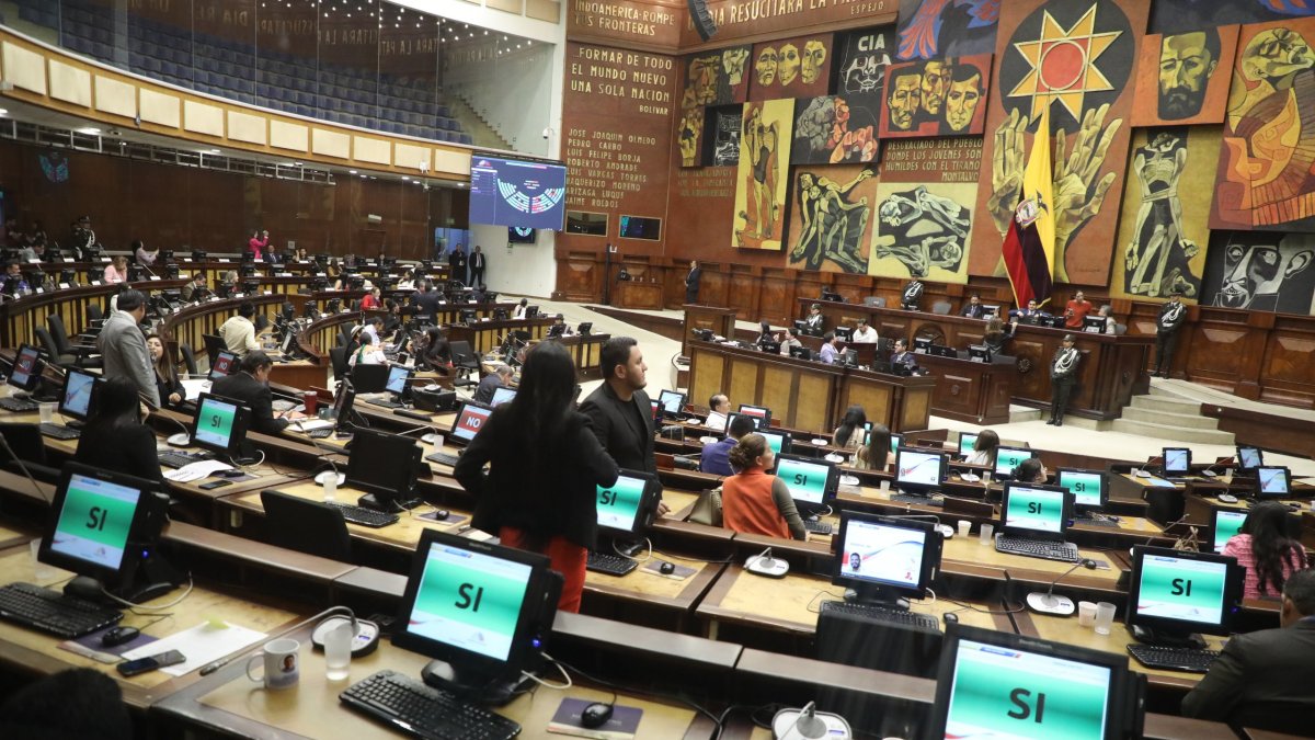 El 9 de febrero de 2025, la ciudadanía elegirá a los nuevos miembros del Palacio Legislativo.
