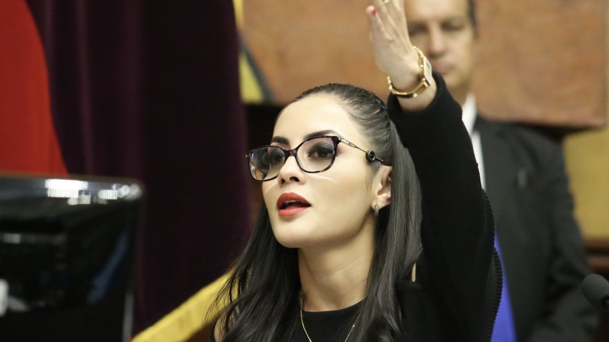 La presidenta Viviana Veloz dispuso el ingreso del amicus curiae