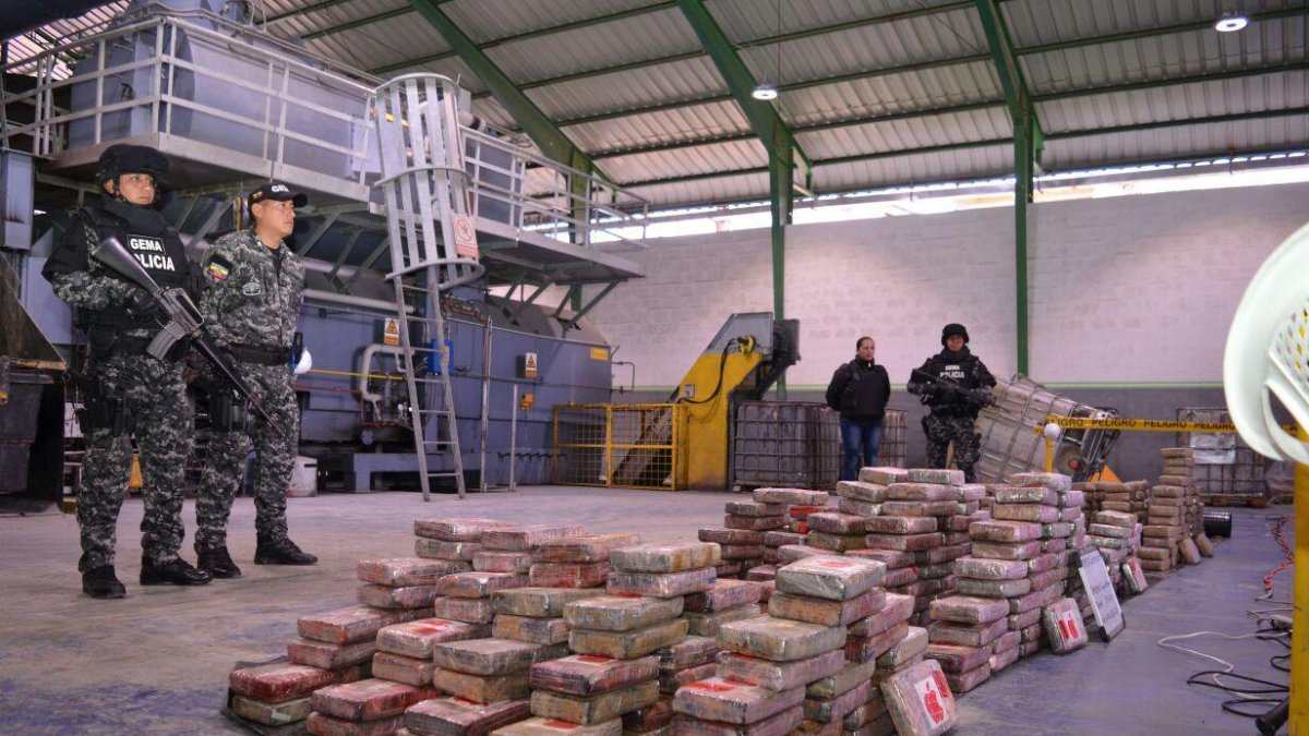 Operación. Cargamento de droga incautado por la Policía, semanas atrás.