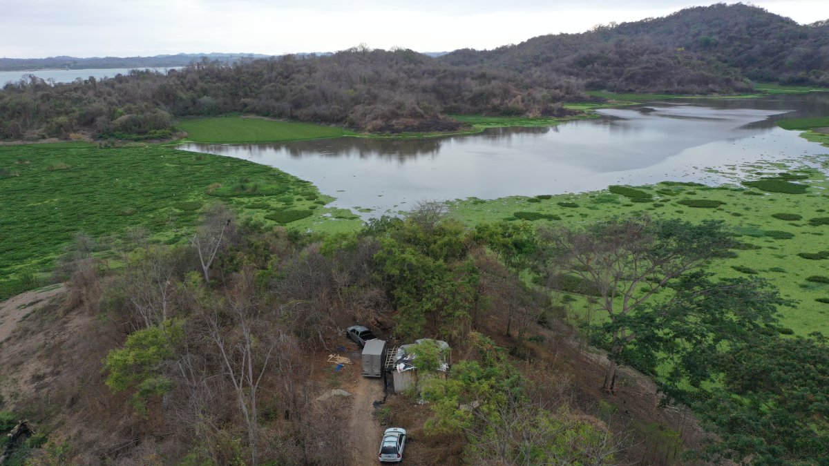 Vista aérea de la zona en la que se hallaron los cuerpos.