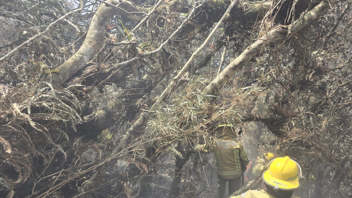 Hecho. Bomberos de Loja inspeccionan la zona afectada por el incendio para definir las medidas a emprender.