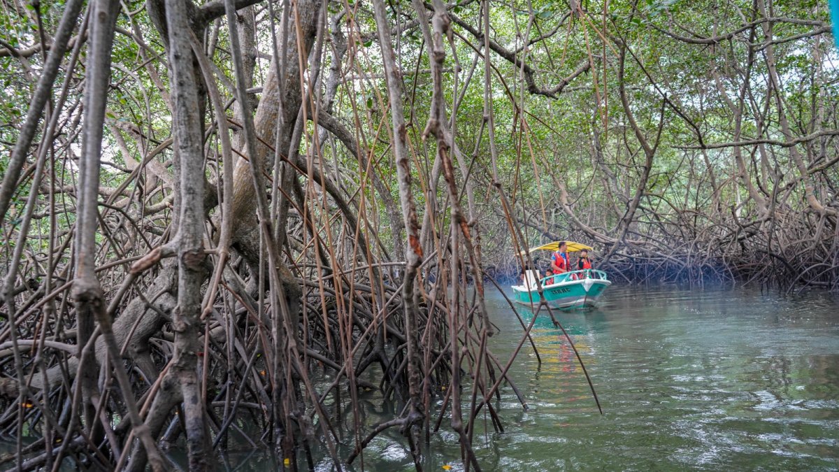 Escena. El empoderamiento de las mujeres reduce las brechas de género en diferentes ámbitos sostenibles.