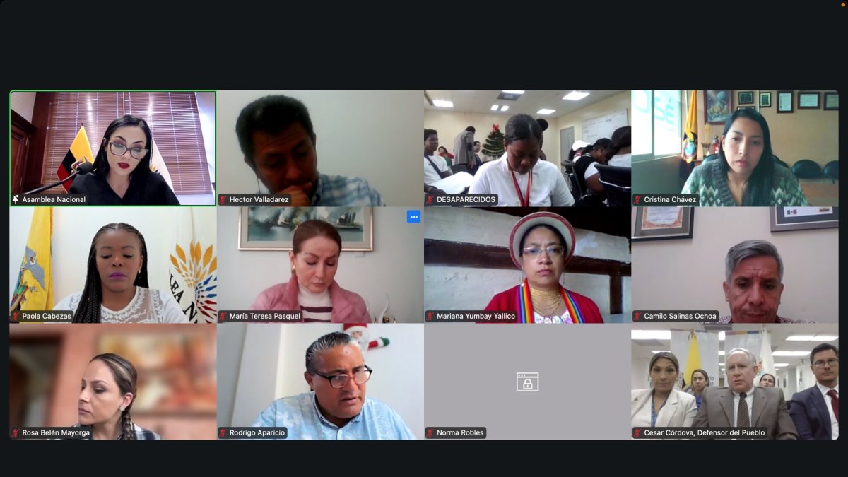 Comparecencias. Aunque la sesión fue virtual, solo el defensor del Pueblo encargado, César Córdova, acudió al llamado de la Asamblea Nacional