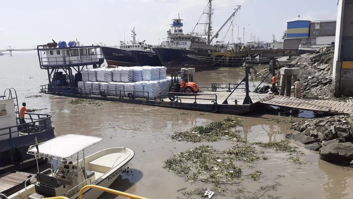 Los robos han sido una constante este año en piscinas camaroneras, pero se intensifican por esta época.