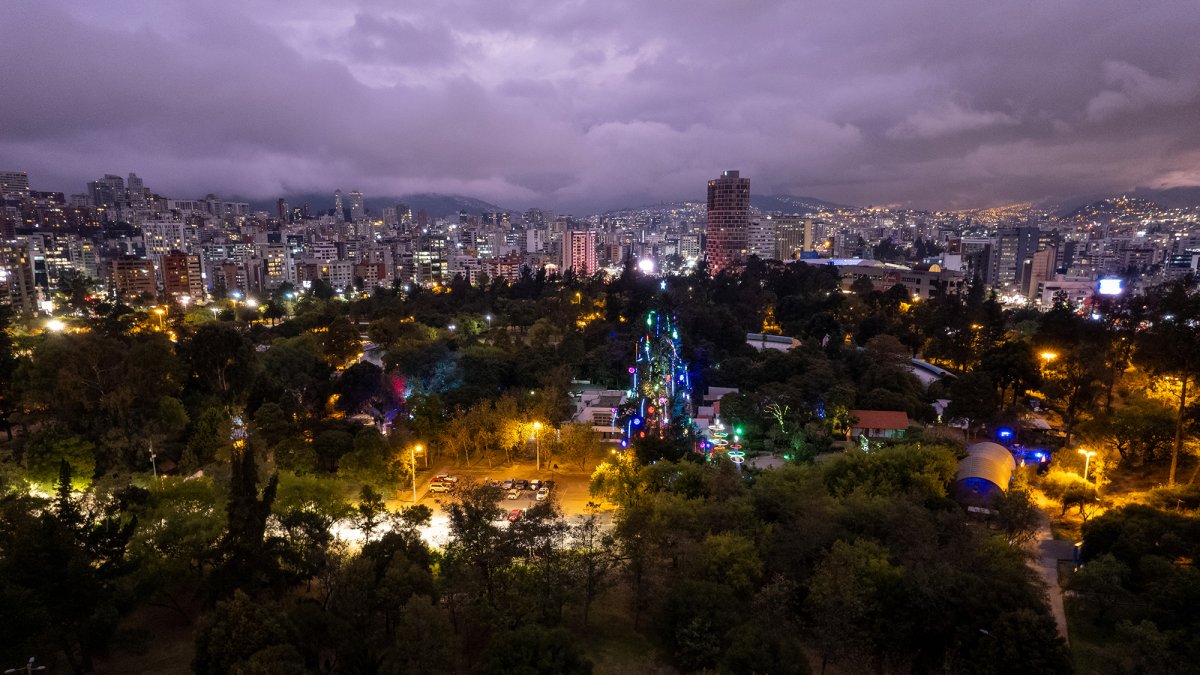 Ciprés de más de 35 años adornado como árbol de Navidad en Quito se encuentra en el Jardín Botánico, en el parque La Carolina