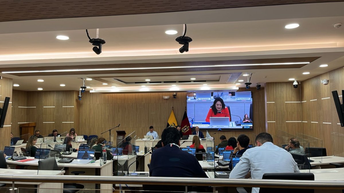 Este 24 de diciembre en sesión de Concejo aprobaron una resolución para exigir respuestas por los niños desaparecidos en Guayaquil