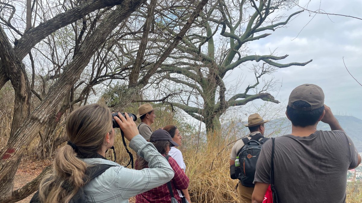 El Municipio de Guayaquil organiza avistamiento de aves en tres puntos de la ciudad