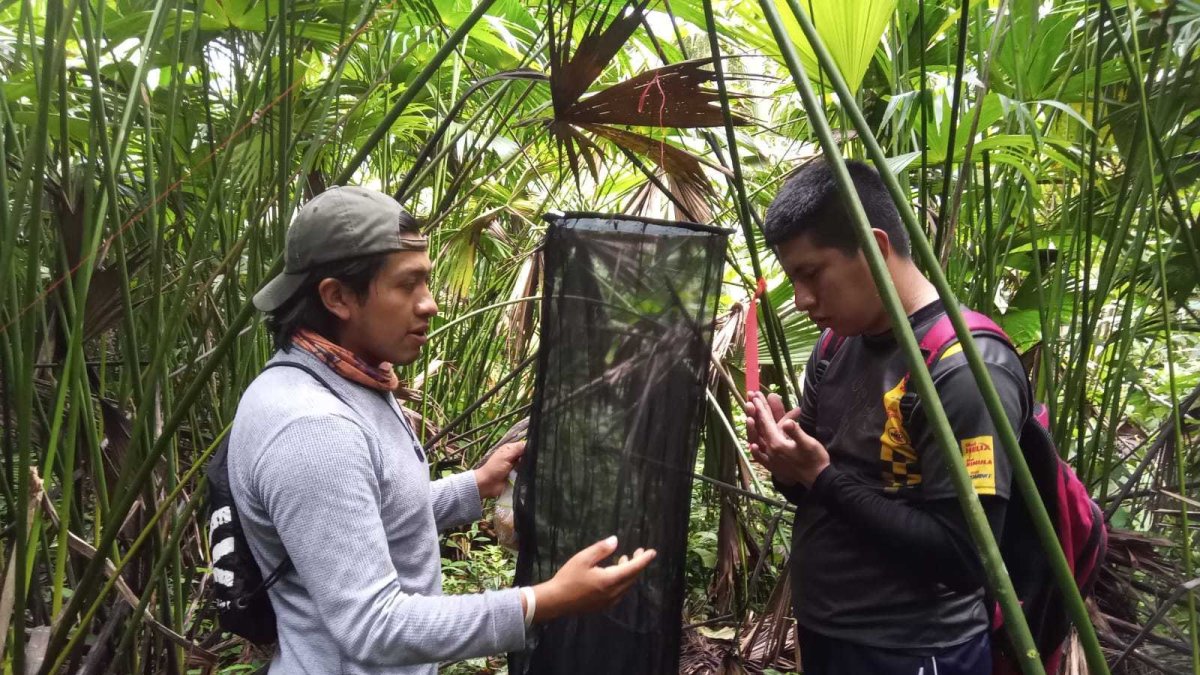 Caso. El programa para guardianes de biodiversidad ha sido reconocido.