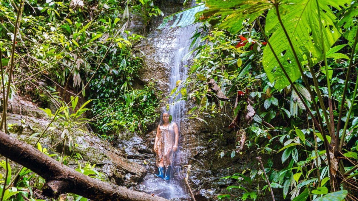 Detalles. Quingue es conocido por sus paisajes impresionantes, donde espectaculares cascadas y enormes rocas parecen cobrar vida.