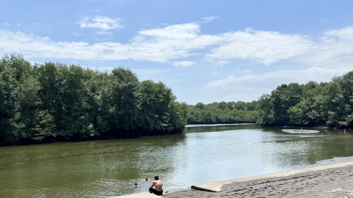 Manglar. La ciudad está rodeada de esteros. Sus ramales y sus aguas deben ser intervenidos para ofrecer una experiencia de naturaleza a los turistas.