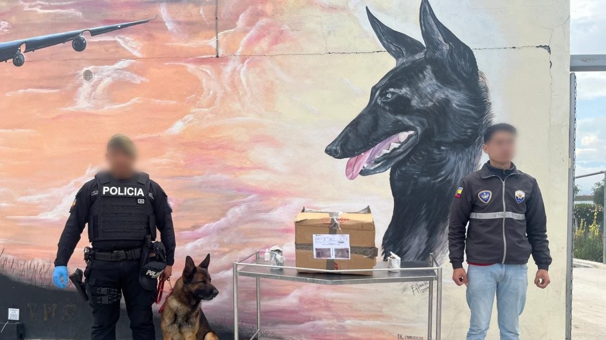 Operativo. En el operativo se encontró la droga camuflada en paquetes.