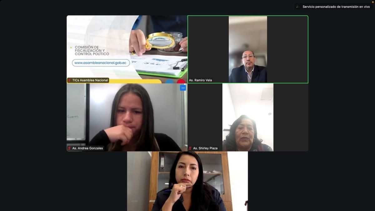 La Comisión de Fiscalización sesionó de manera virtual este 26 de diciembre.
