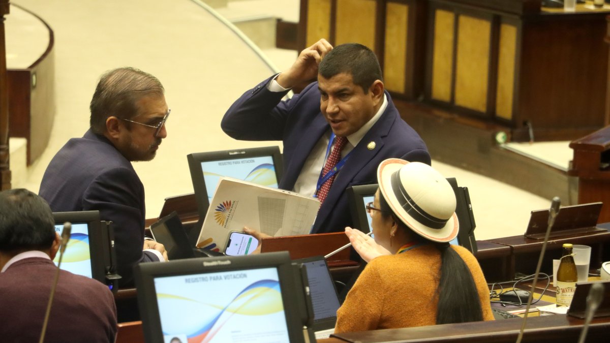 96 de los 137 asambleístas buscarán la reelección en 2025.