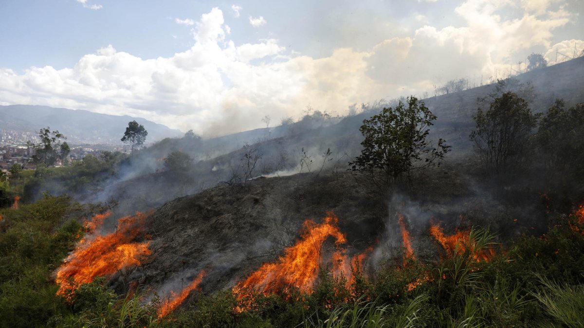 Uno de los incendios forestales que afectaron este 2024, a Colombia. El de la foto corresponde al de Medellín, en febrero pasado.