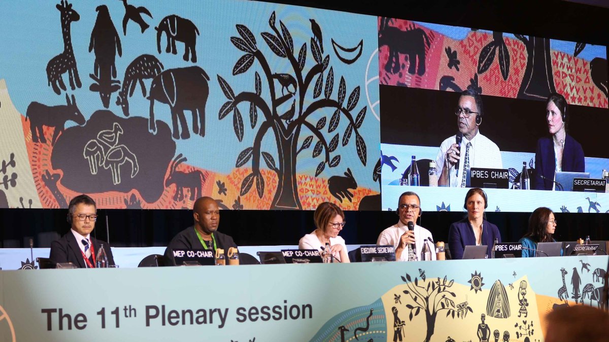 Reunión del plenario de la Plataforma Intergubernamental Científico-Normativa sobre Diversidad Biológica y Servicios de los Ecosistemas (IPBES) que se celebró en Windhoek, capital de Namibia​.