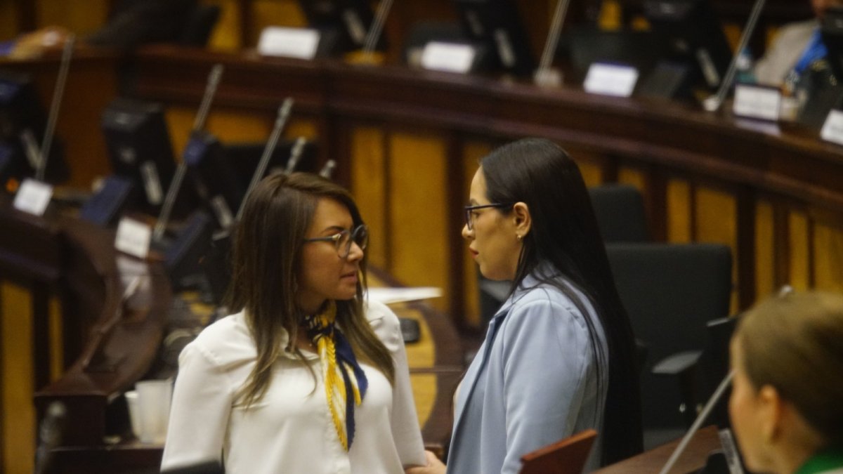 El 19 de enero de 2025 terminará el receso legislativo.