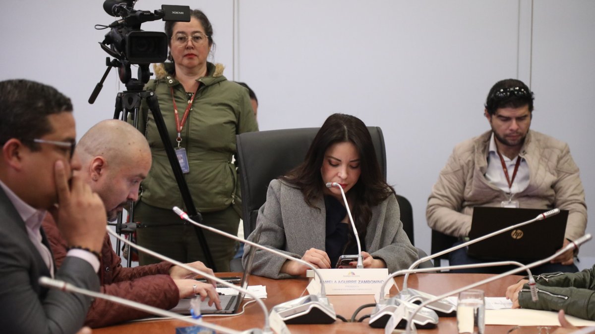 La correísta Pamela Aguirre preside la mesa de Fiscalización.