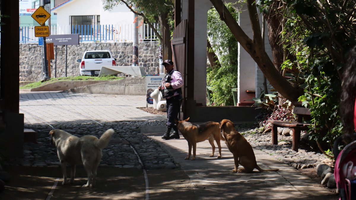 En uno de los accesos a El Chaquiñán hay seguridad privada.