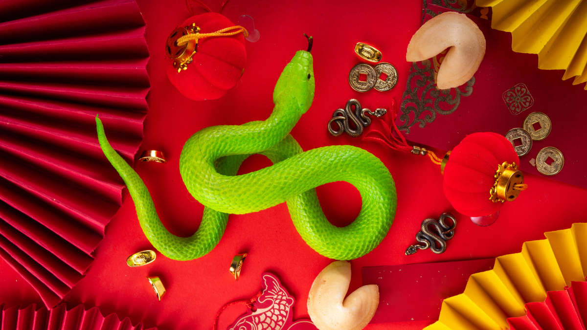 El 2025 es el año de la serpiente de madera.